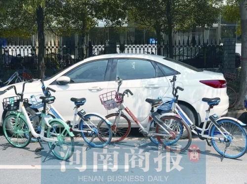 郑州自行车最新爆料消息,揭秘未来城市出行新选择
